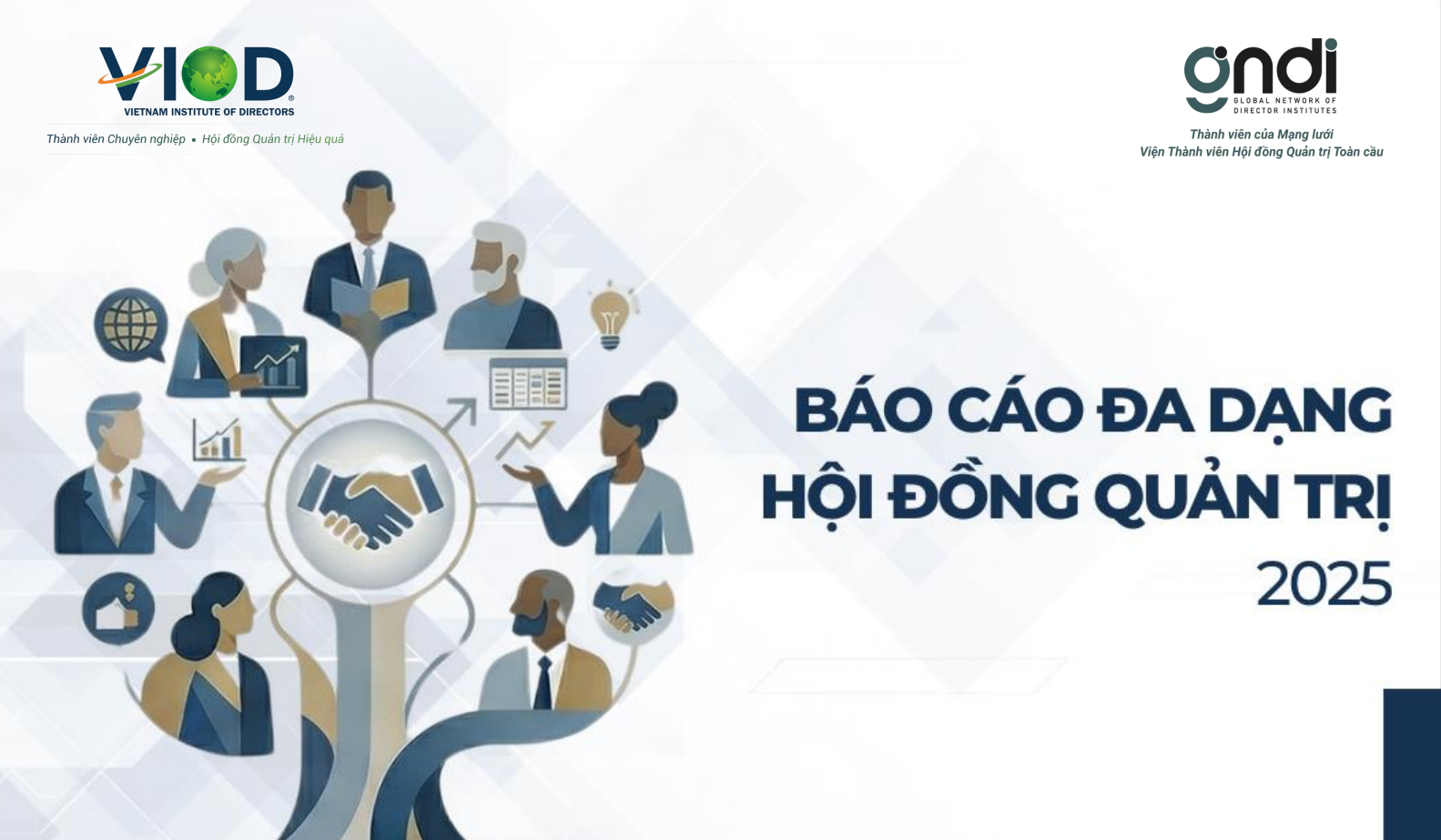 BÁO CÁO ĐA DẠNG HĐQT 2025